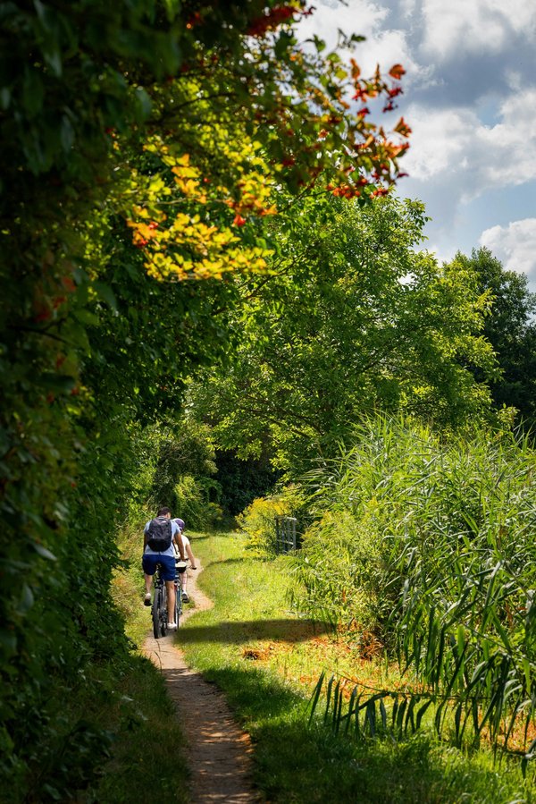 Découvrez les meilleures randonnées à vélo dans le parc national des cévennes